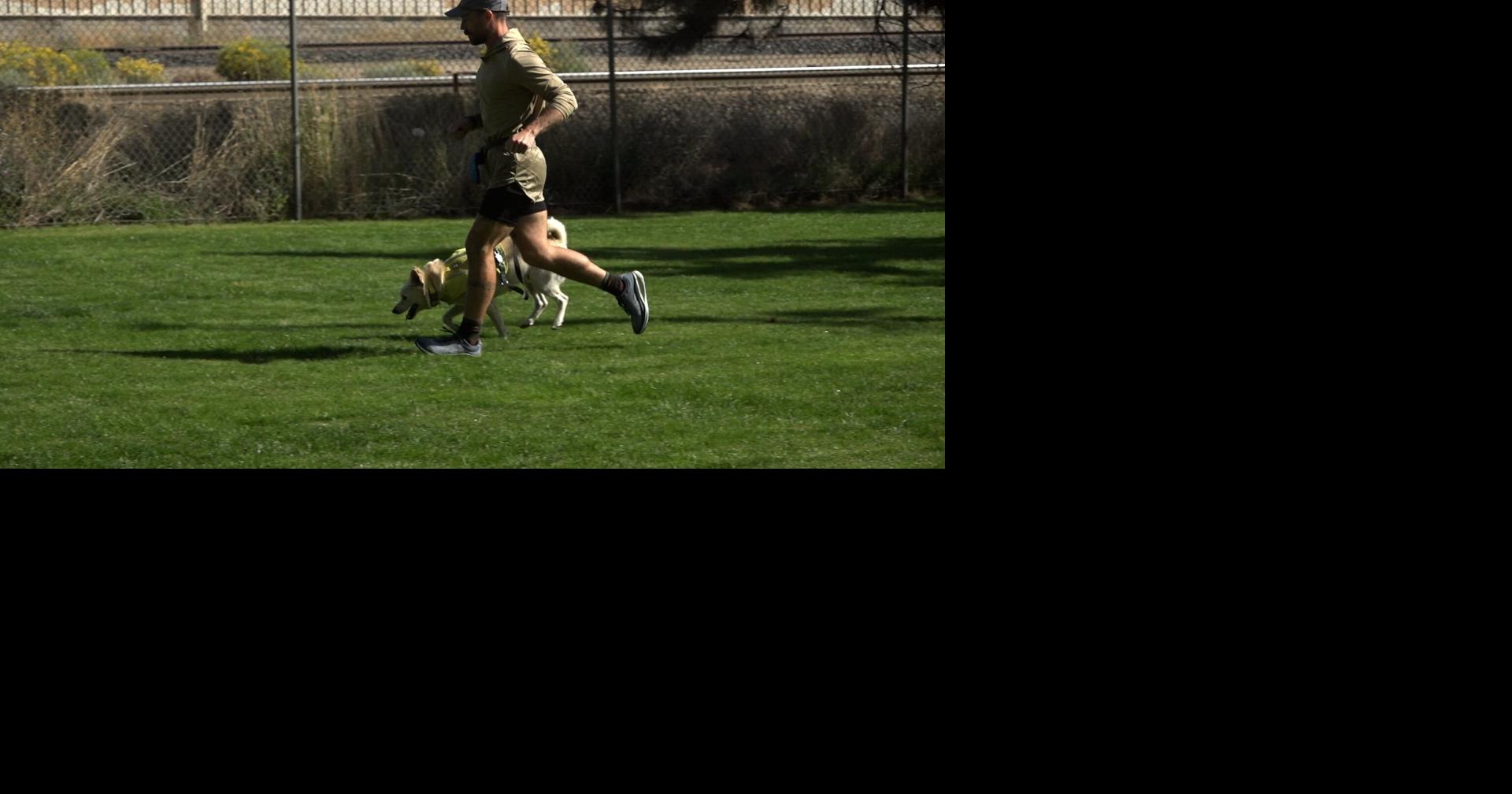 Bend dog runner to run up to 70 miles for Street Dog Hero | Local News ...