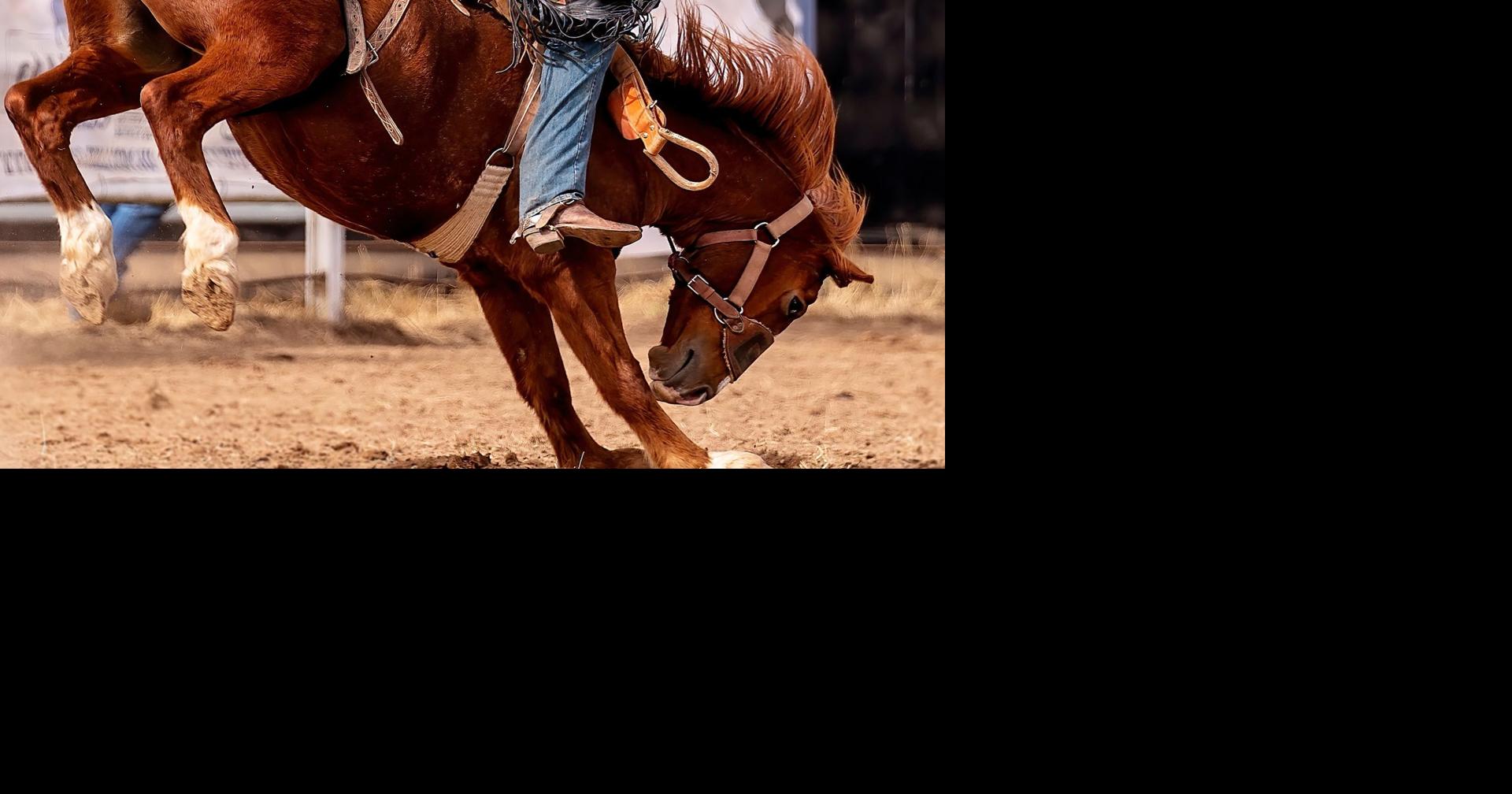 La Pine Rodeo returns July 2–4