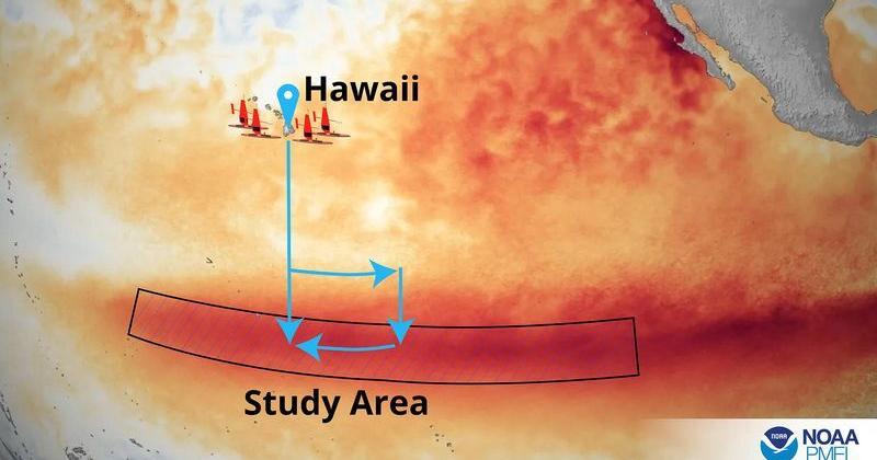 An unprecedented El Niño sends scientists scrambling for answers