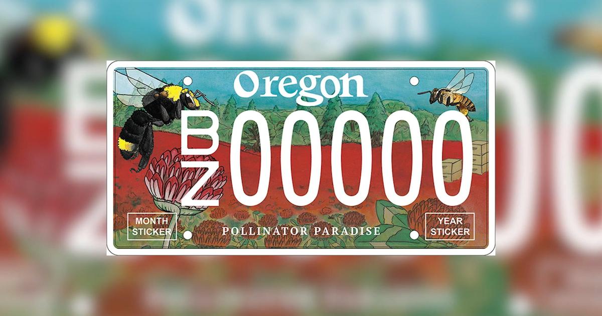 Registration Sticker Oregon Oregon Pollinator Paradise license plate on presale | Oregon ...