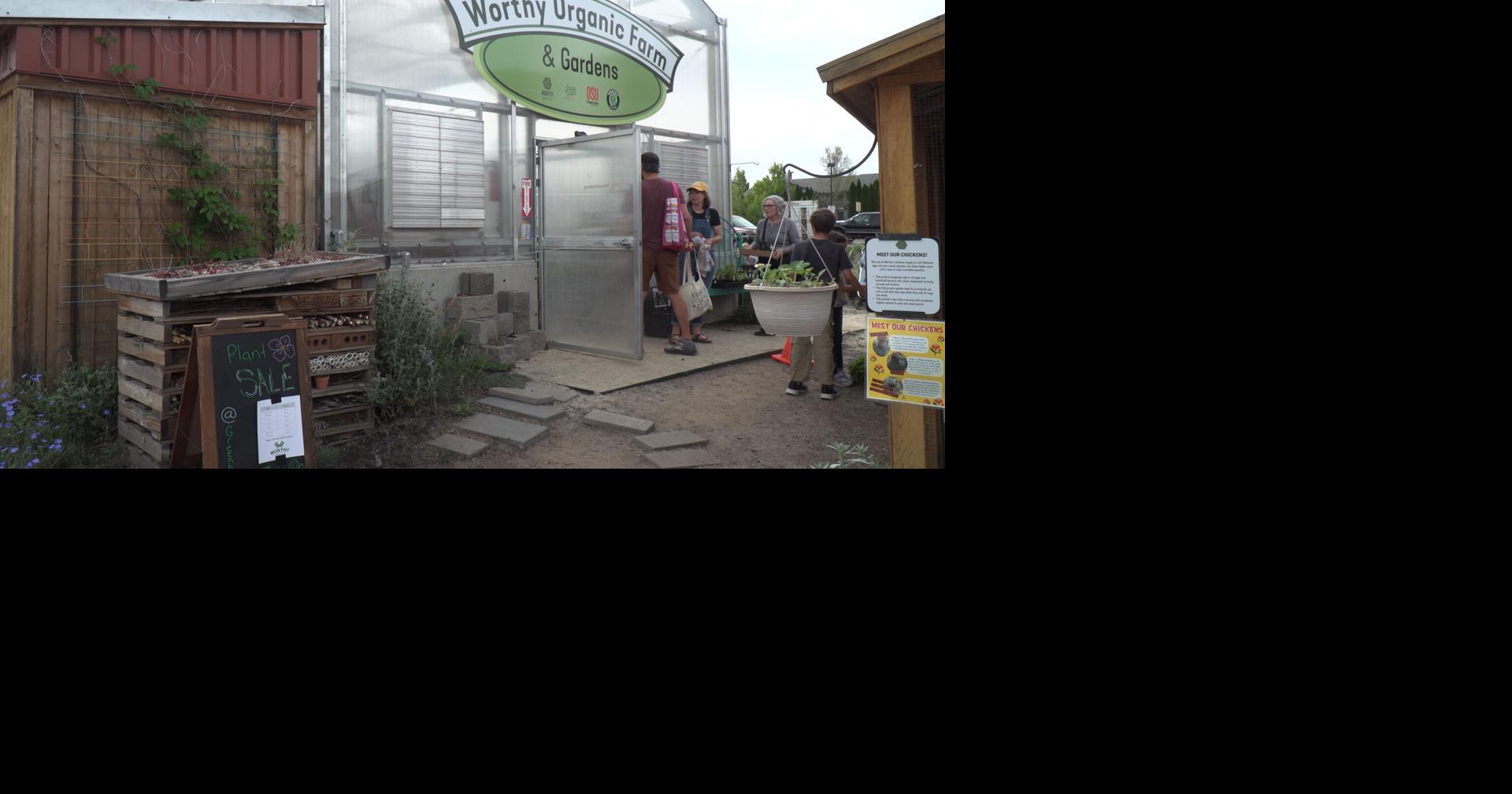 Read moreWorthy Garden Club hosts plant sale to kickstart growing season