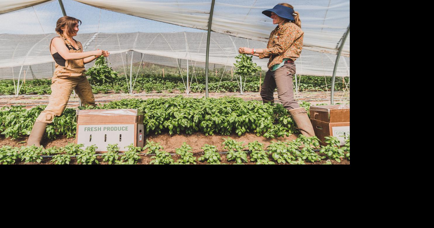 High Desert Food and Farm Alliance receives $522,000 grant to support ...