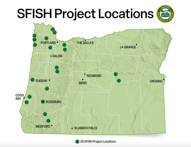 5M awarded small forestland owners for fish habitat improvements
