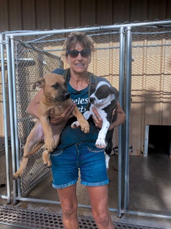 Priceless Pets rescues 49 dogs, News