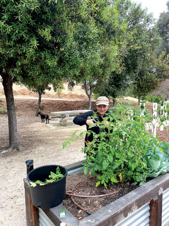 Garden Parties Gathering And Planting In Chino Hills News Championnewspapers Com