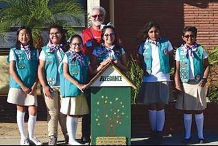 Girl Scouts Create Little Libraries News Championnewspaperscom