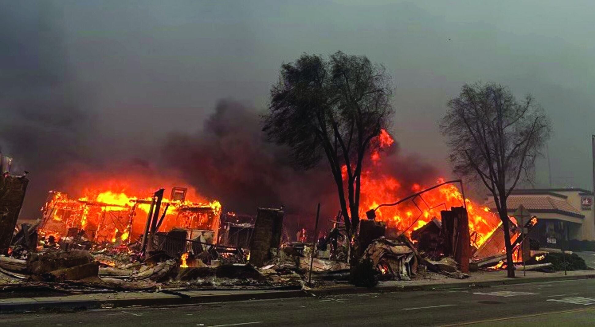 January to December: A Year in Review | Community News |  championnewspapers.com