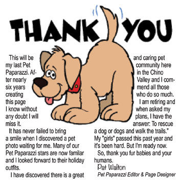 Thank You | Pet Paparazzi | Championnewspapers.com