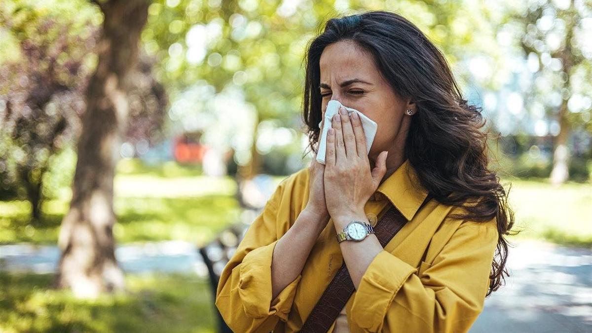 Start preparing for spring allergy season with these expert tips | Lawn ...