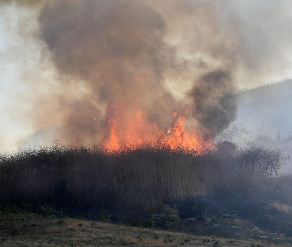 Five-acre brush fire burns along Butterfield Ranch Road in Chino Hills