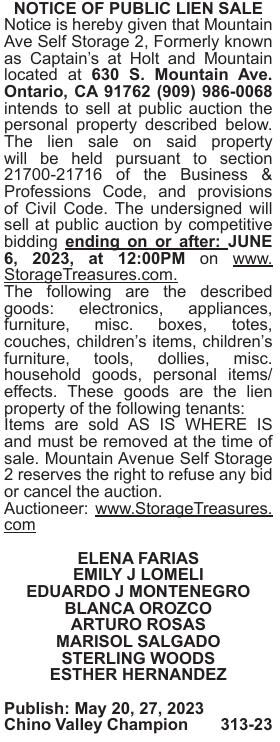 PUBLIC LIEN SALE #313