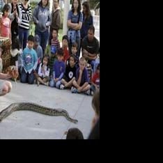 Snake Friday | News | championnewspapers.com