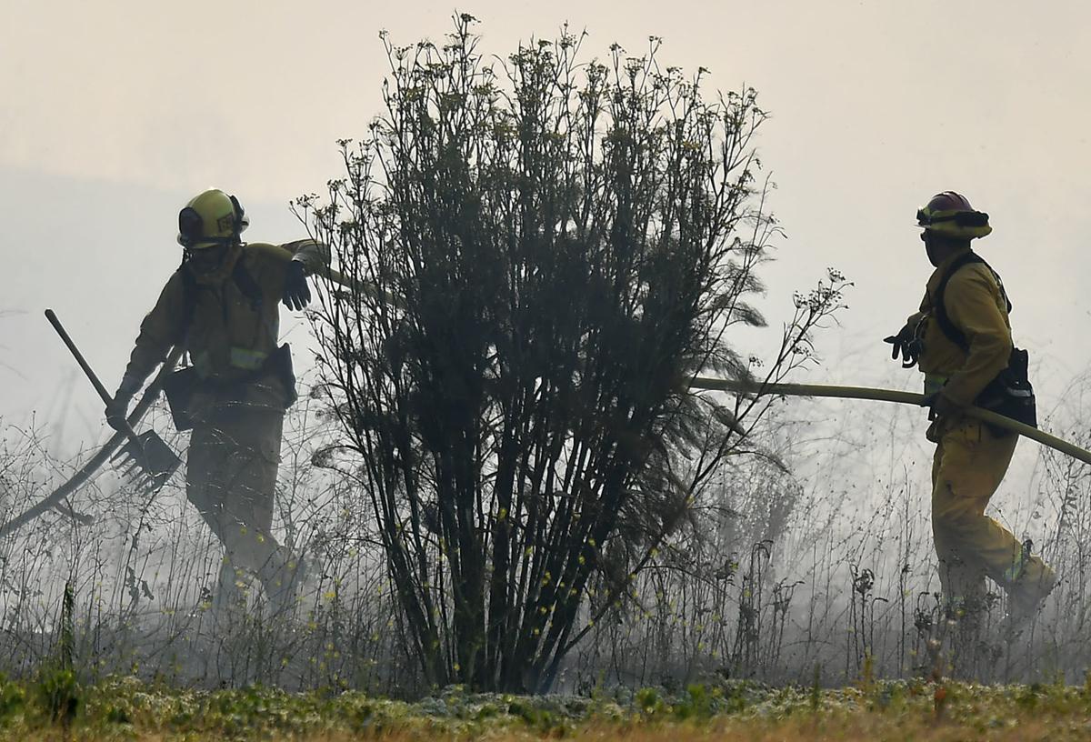 Five-acre brush fire burns along Butterfield Ranch Road in Chino Hills