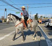 Vaquero