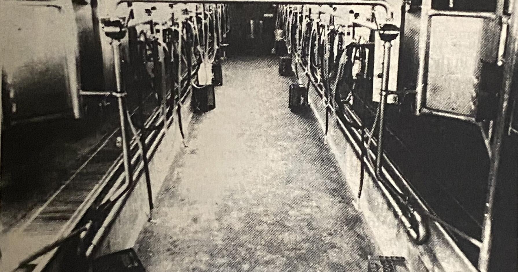 Alta Dena Dairy thrived under the leadership of the Stueves - Vimarsana News