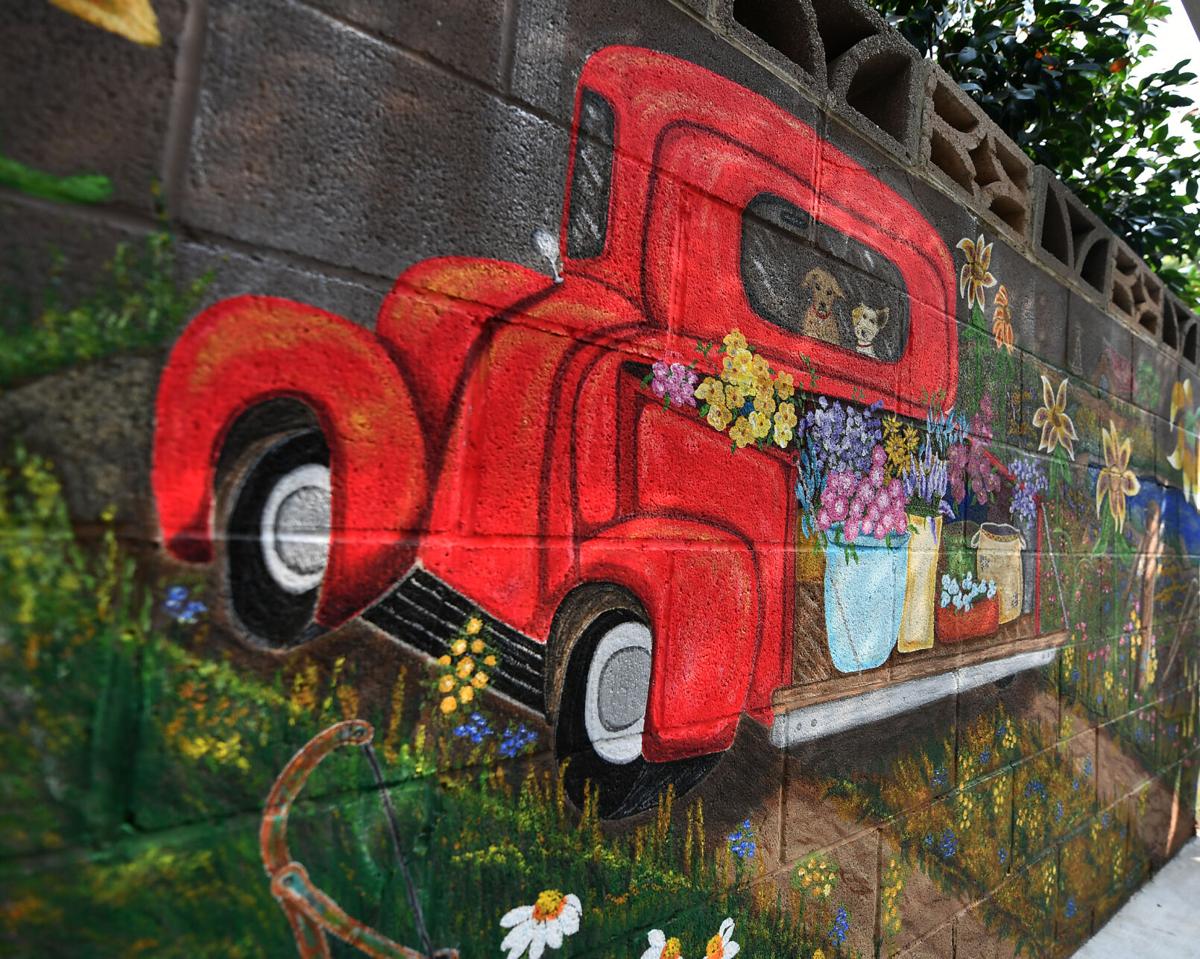 Chino resident paints backyard mural called 'COVID Project'