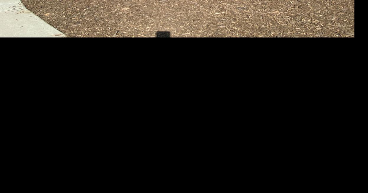 post-office-special-delivery-news-championnewspapers