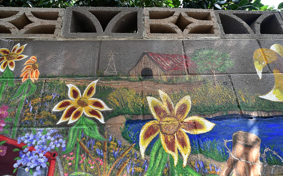 Chino resident paints backyard mural called 'COVID Project'