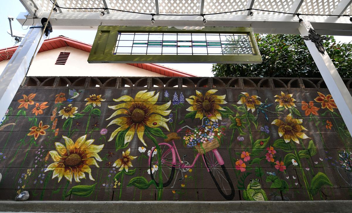 Chino resident paints backyard mural called 'COVID Project'