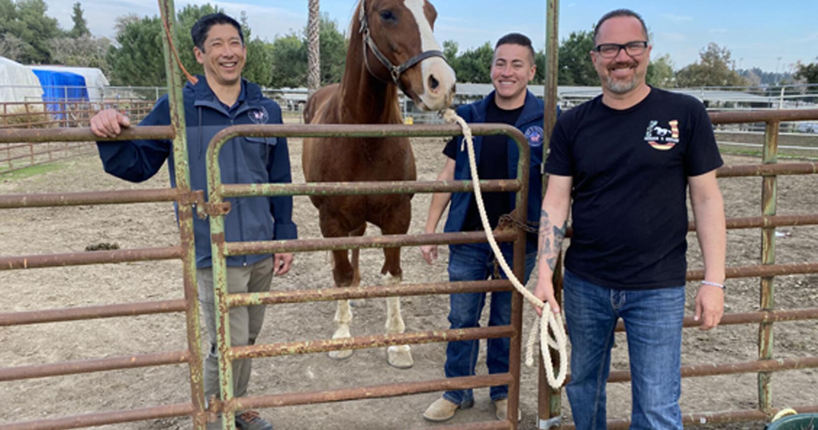 Paws 4 Success in Chino Hills is now Rebel Ranch - Vimarsana News