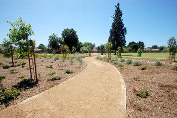 Los Serranos Park