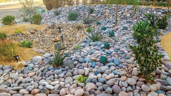 Gardening During A Drought Special, F&F Landscaping