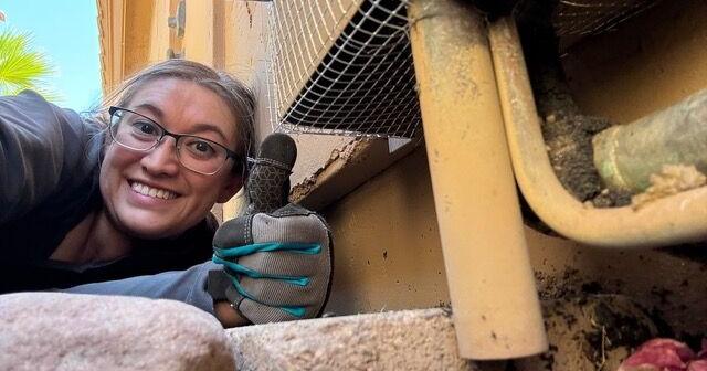 Chandler pest firm to use wildlife expert