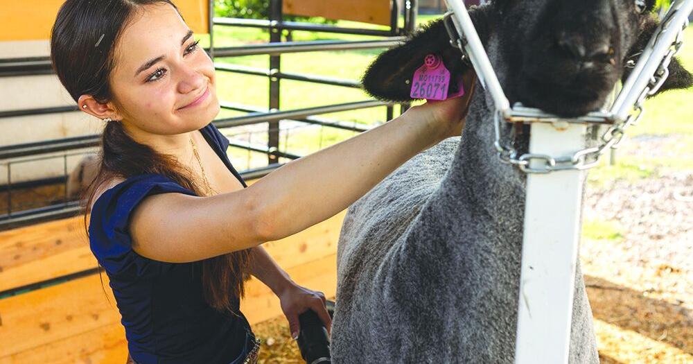 Chandler High senior is a champion fledgling farmer