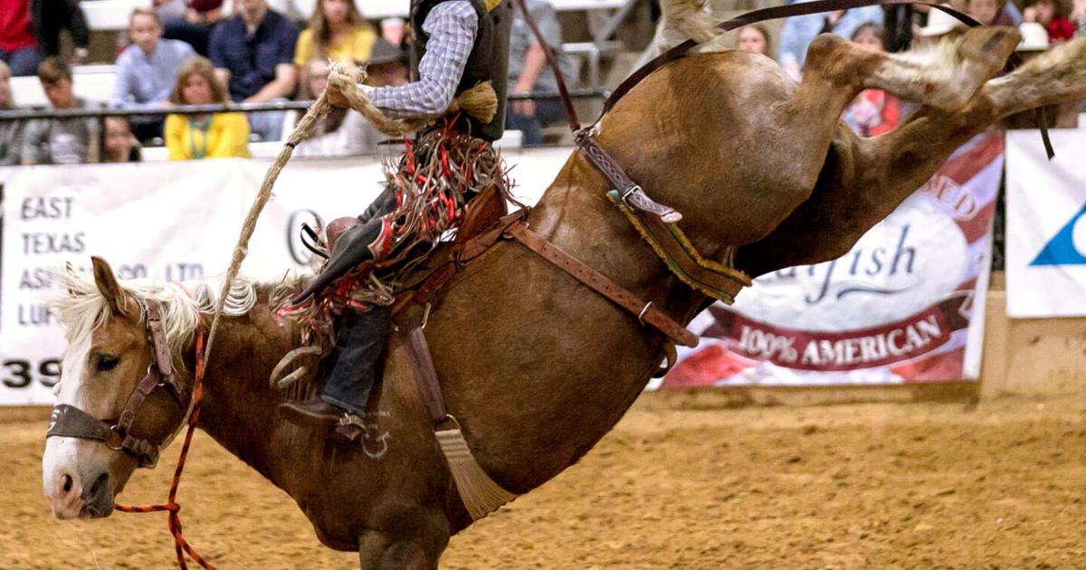 Buckle Up Rodeo BUCK-IT LIST! The Angelina Benefit Rodeo brings excitement to the ...
