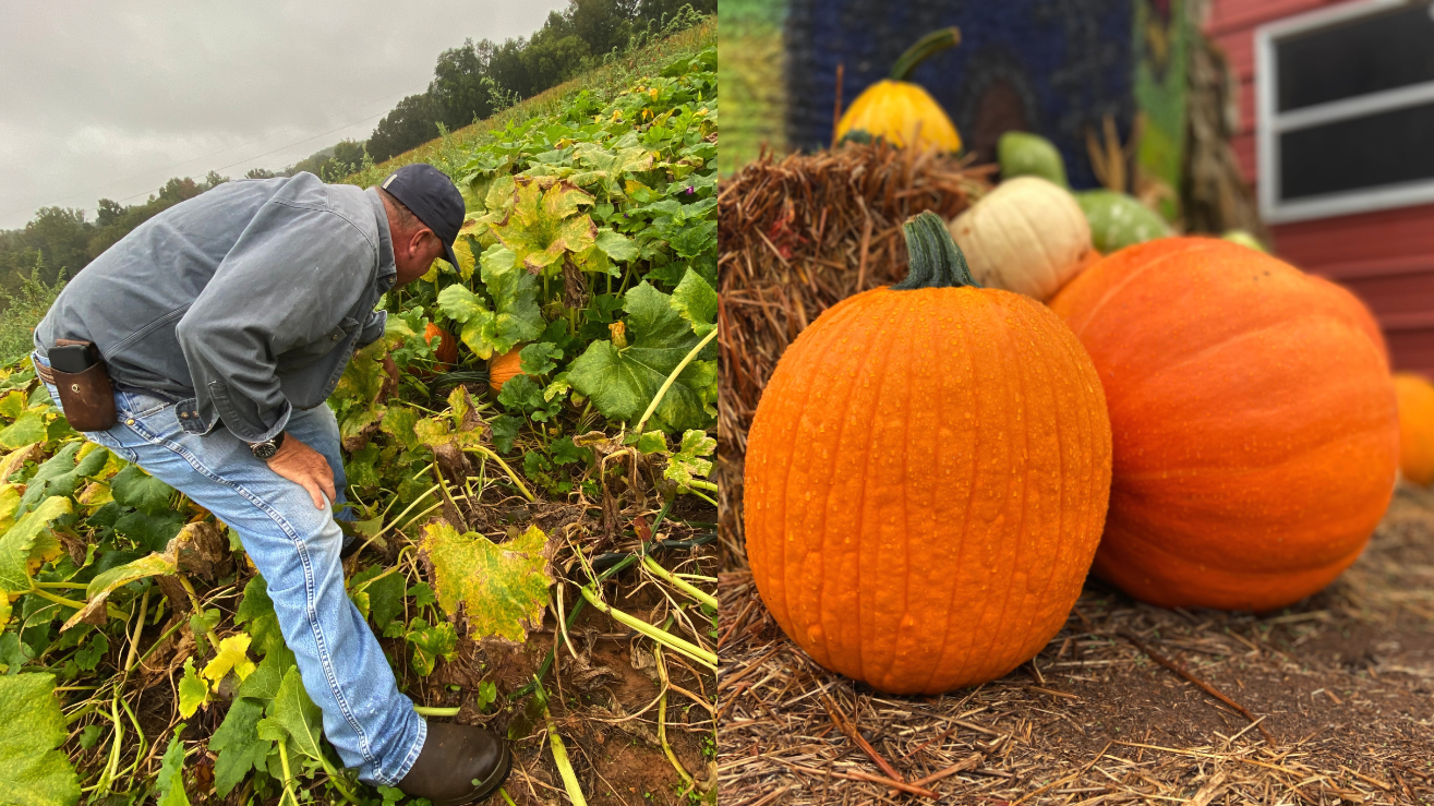 Danville farmer finds joy, success in historic year for Virginia