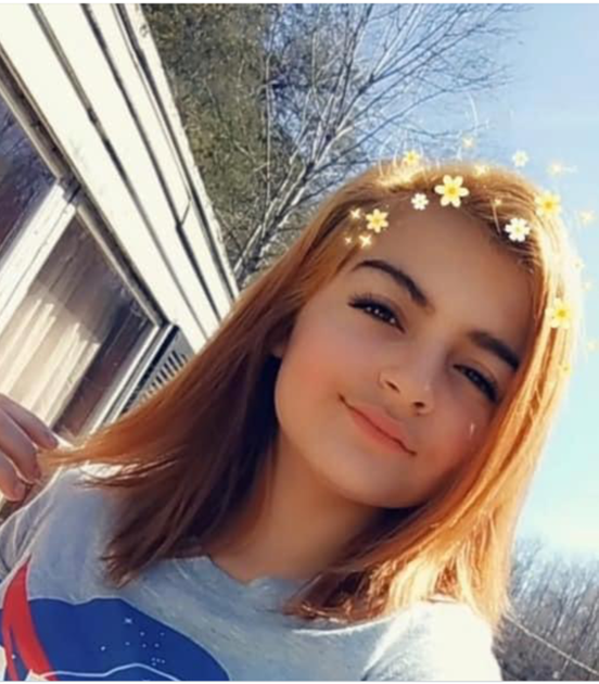 Henry County Sheriff Seeking Runaway 14 Year Old Girl News Chathamstartribune Com