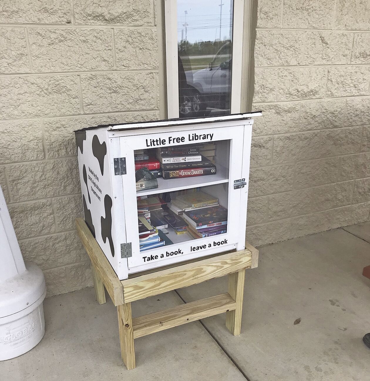 Dan River students create little libraries as part of class project - Vimarsana News