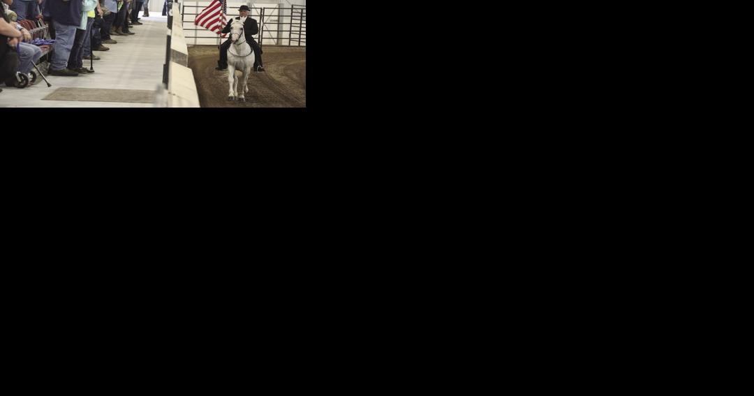 Walking the walk: ODAC hosts walking horse show - Vimarsana News