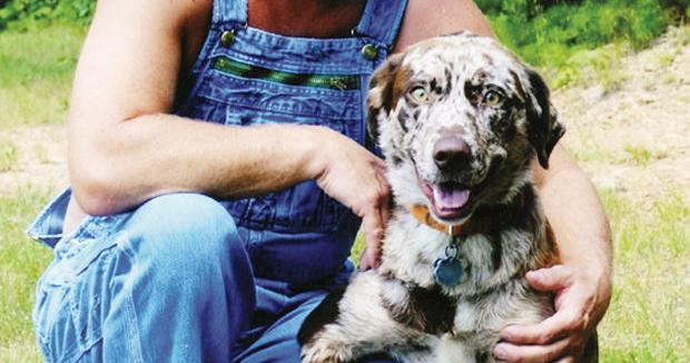 Moonshiners' star's dog Camo shot in Climax | News | chathamstartribune.com