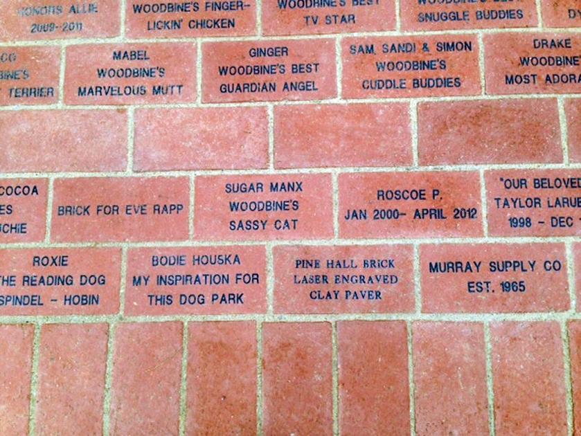 Brick pavers being sold to support animal shelter ...