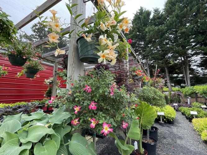 Heath Mulch & Stone Supply Everything a landscaper could need News