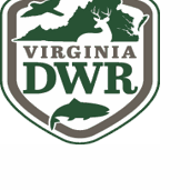 Elk hunting application period opens today - Vimarsana News