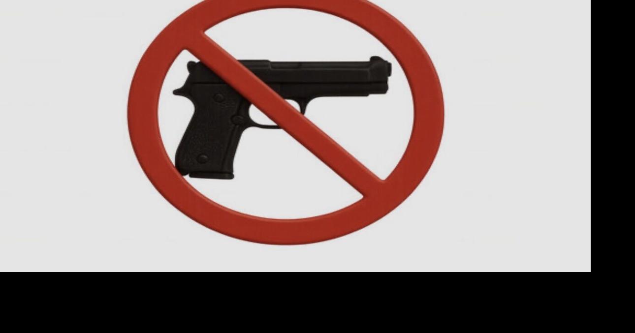 New Virginia law exposes gun makers to lawsuits, expands firearm restrictions