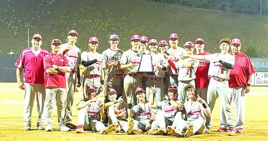 Hedrick, Tunstall drown out noise, clinch Piedmont District tourney over Magna Vista