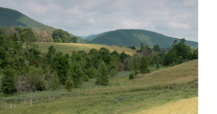 Consider a tax-time donation for recreation, conservation - Vimarsana News