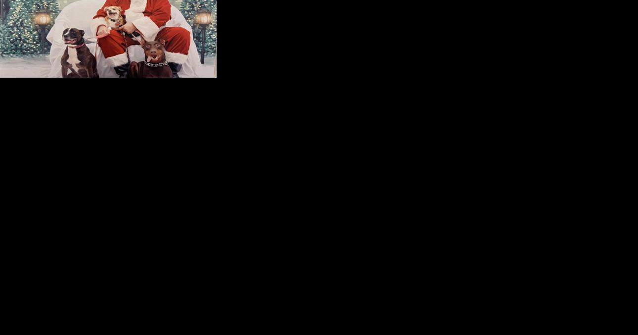 Have your pet photographed with Santa - Vimarsana News