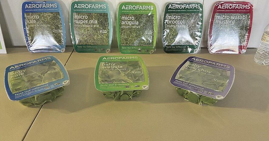 Youngkin announces expansion of AeroFarms, 66 new jobs - Vimarsana News