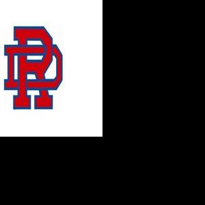 Dan River baseball has third straight trip to state tournament end in loss in quarterfinals