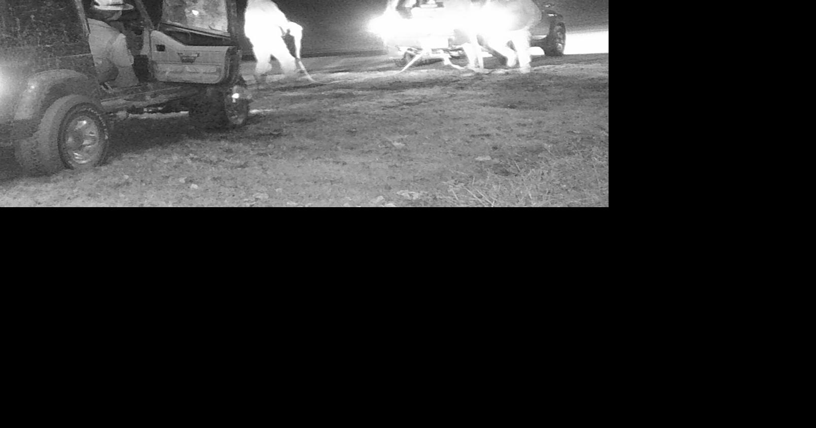 Suspects in park damage identified News