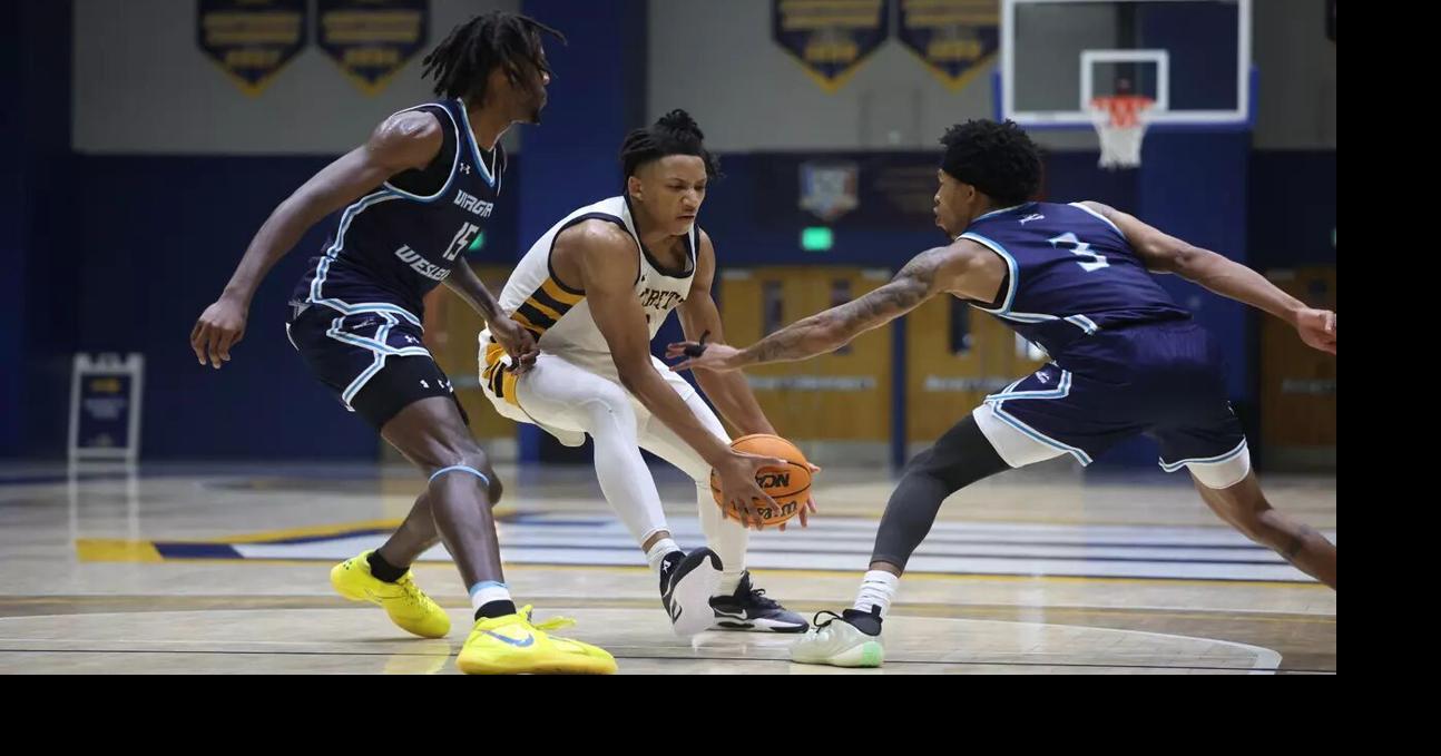No. 2 Virginia Wesleyan men's hoops knocks off No. 7 Averett in ODAC quarterfinals