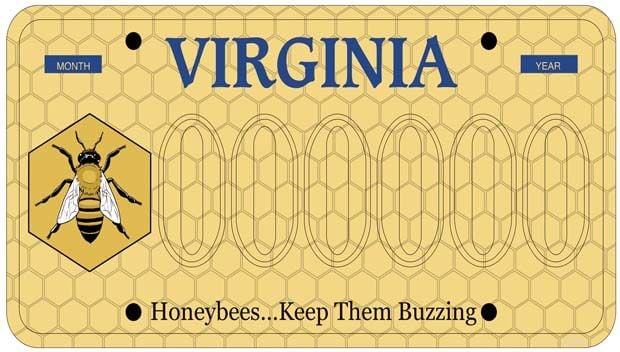 Local beekeeper shares how buying license plates helps honey bees