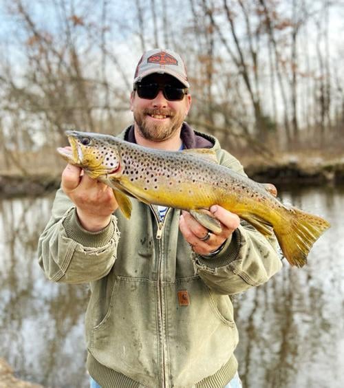 Brook Trout Chetekalert Com