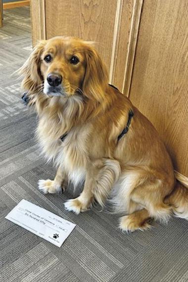 Local furry philanthropist donates raffle winnings to Chetek Chamber ...