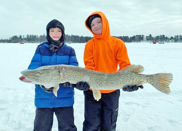 Northern Pike Caught On My Fly Rod, Ray F.