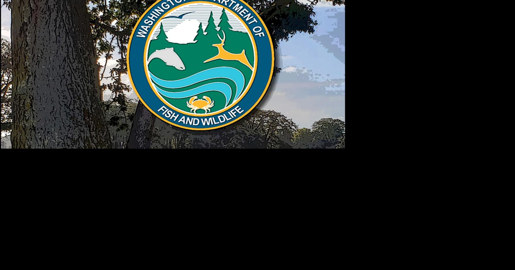 WDFW QUESTION OF THE WEEK: How can I support local wildlife? | Archives ...